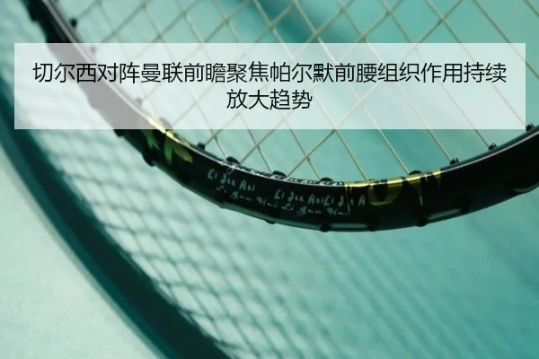 切尔西对阵曼联前瞻聚焦帕尔默前腰组织作用持续放大趋势